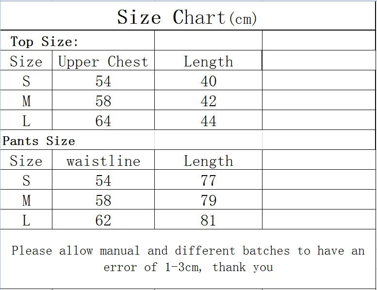 2pcs Women Seamless Workout Suits